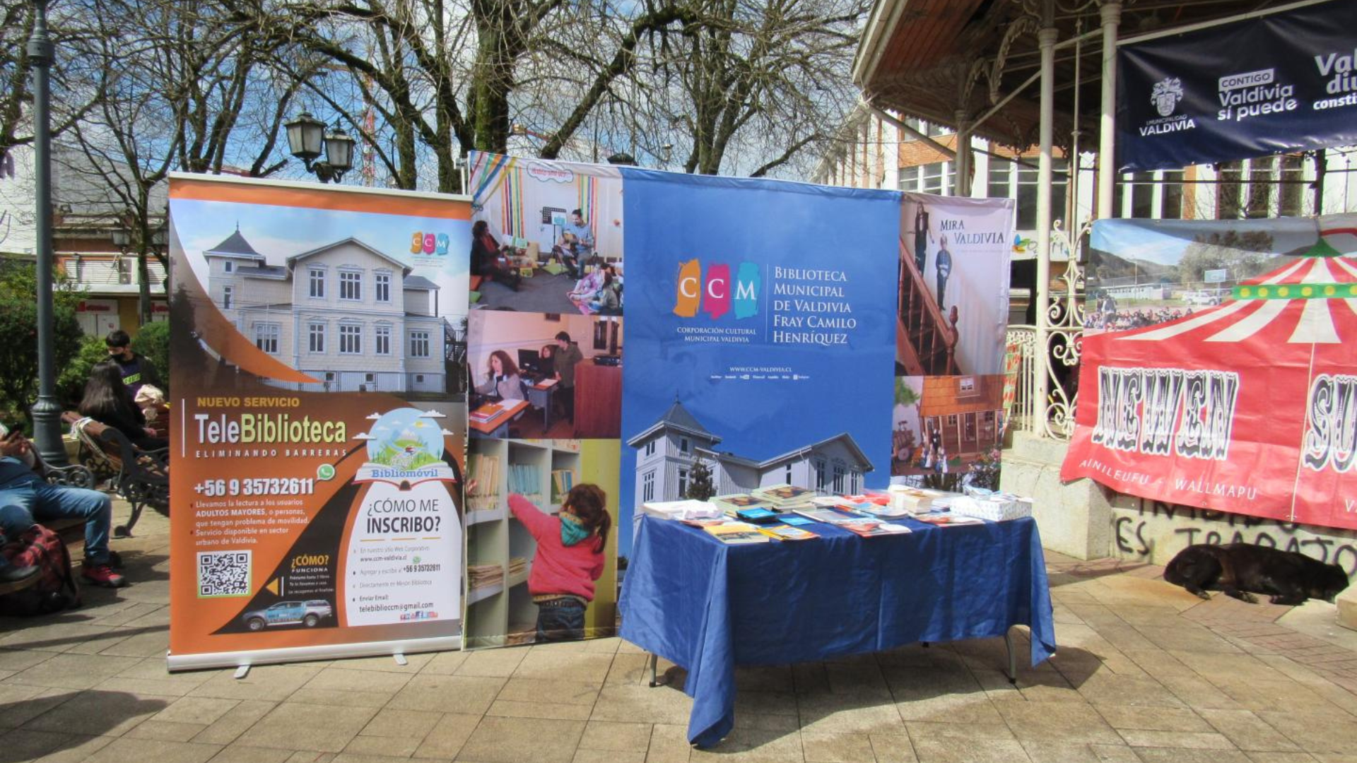 Bibliomóvil Valdivia