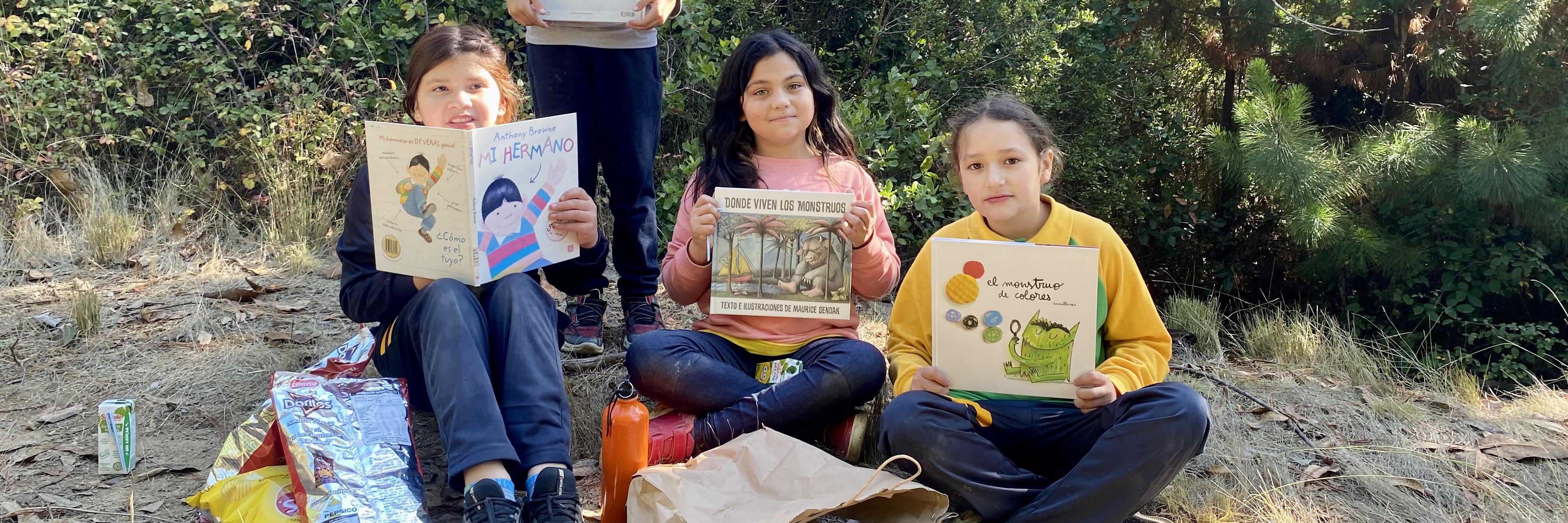 Bibliomóvil de Licantén invitó a un "Picnic Literario" 