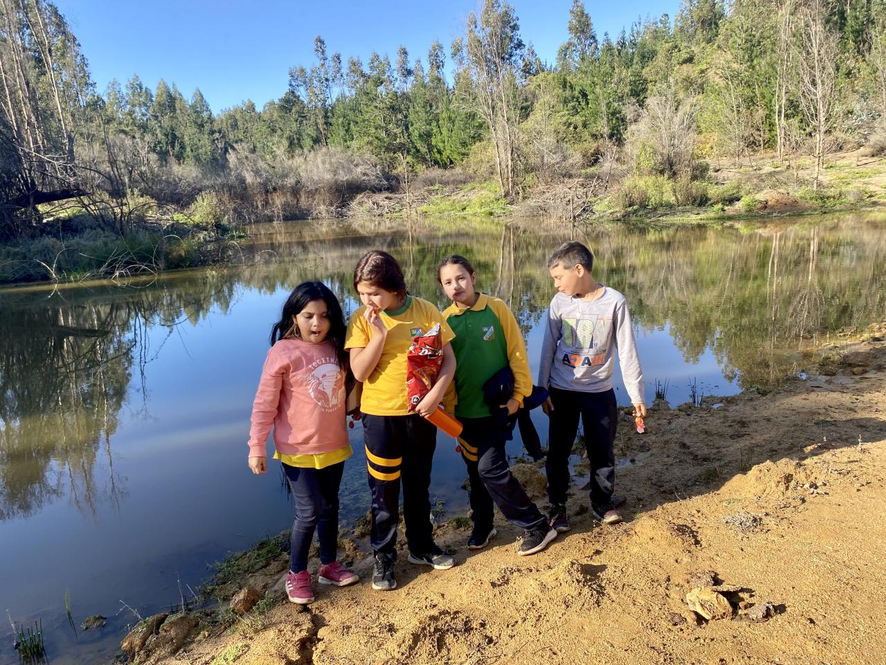 Picnic literario Licantén Abril 2023