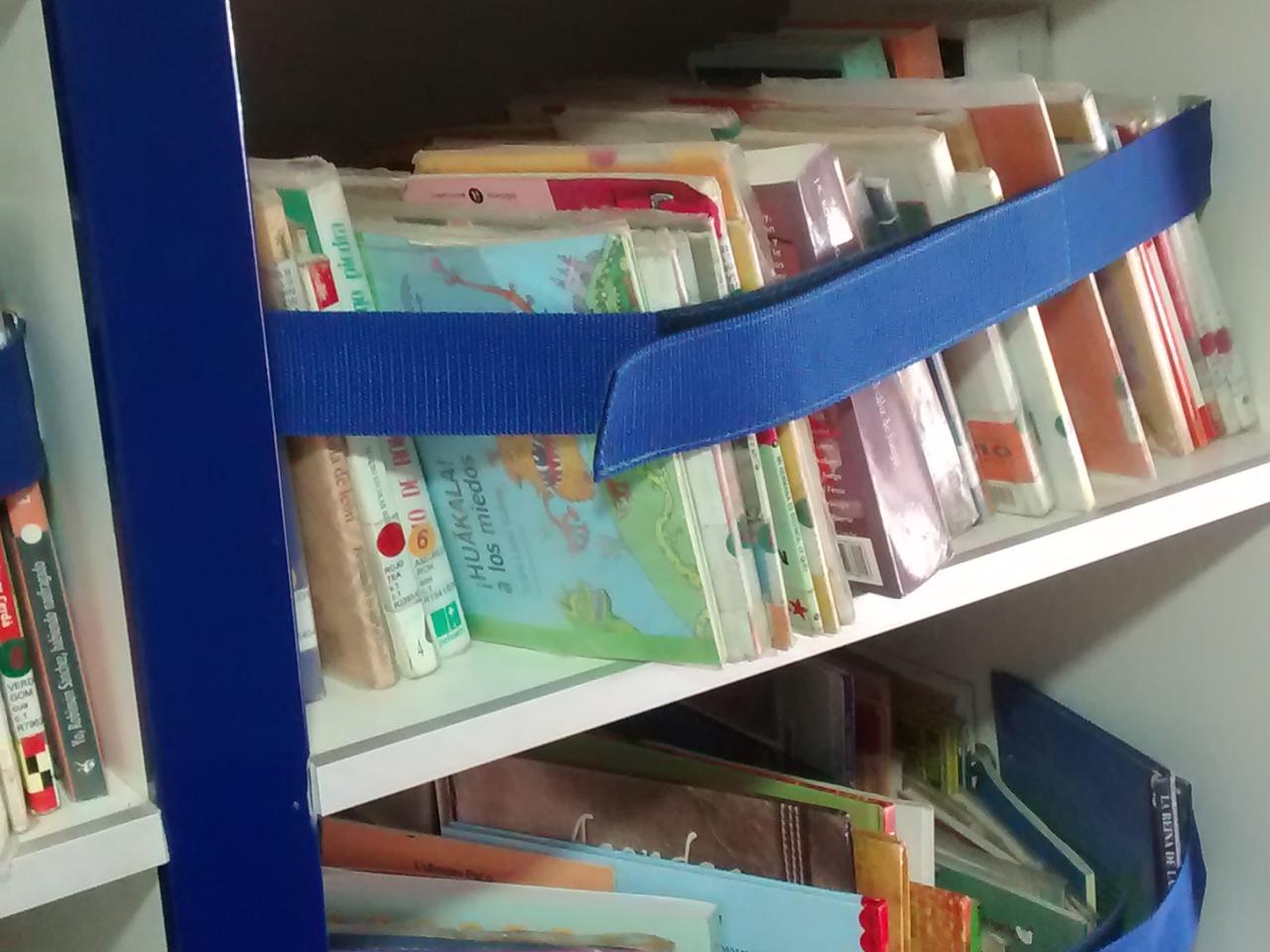 Bibliomóvil Máfil