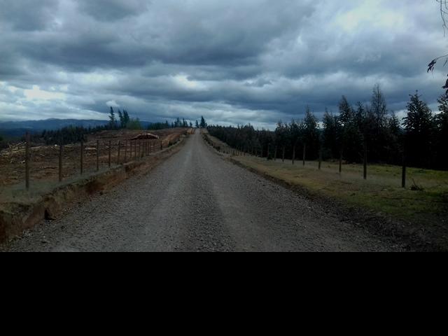 NACIMIENTO - SECTOR RURAL CHEQUENAL