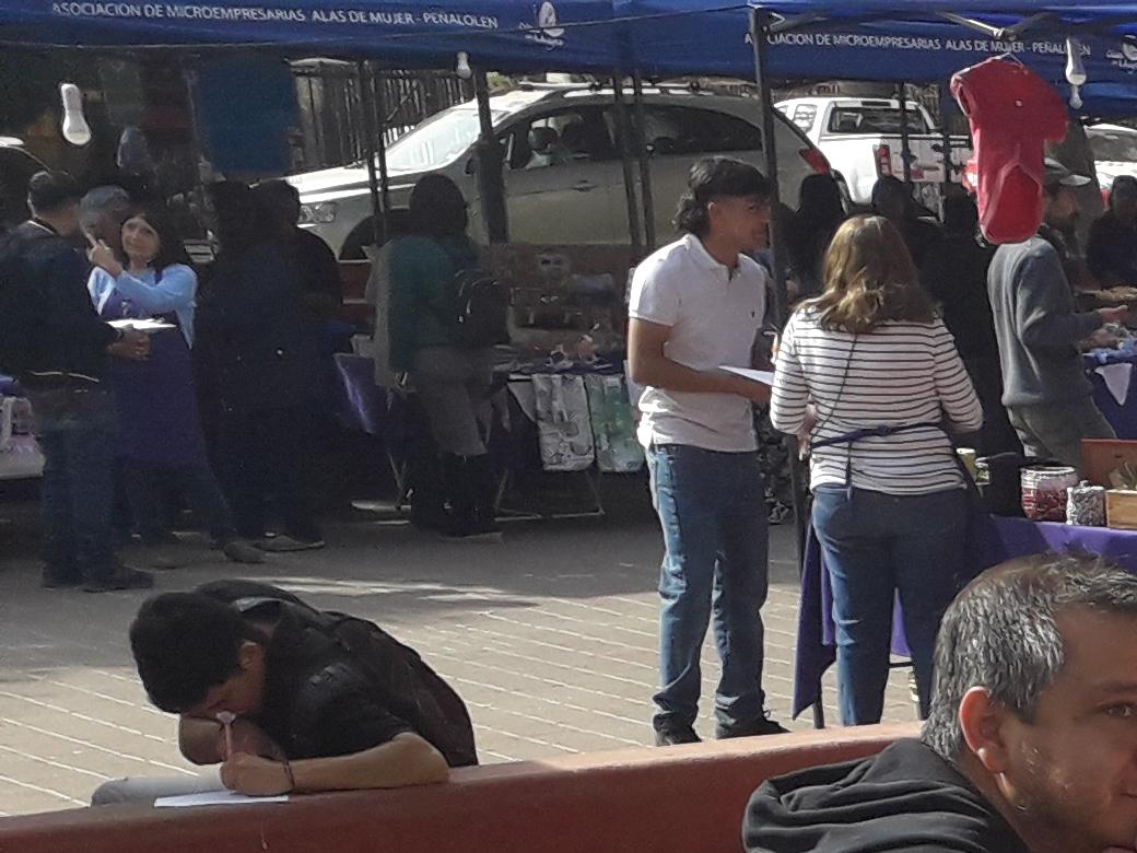 Bibliomóvil Peñalolén en terreno