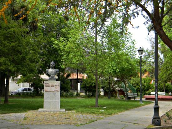 Coltauco
