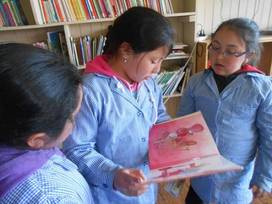Alumnos de la escuela de Isla Mocha en donde también atiende el bibliomóvil.