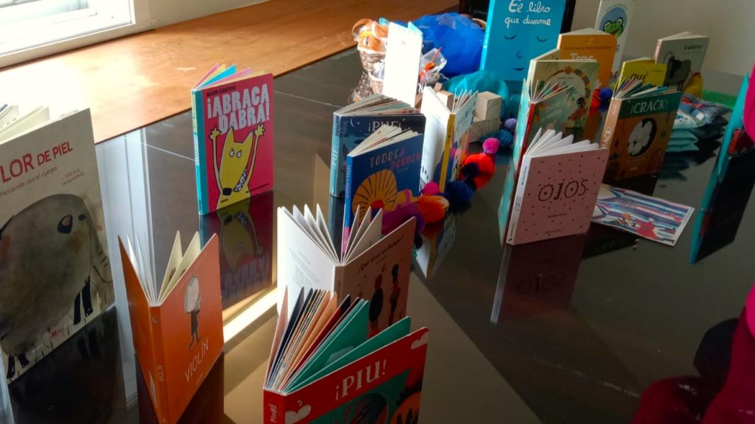 Jornada regional de bibliomóviles – Los Ríos 2024 libros presentados en el taller