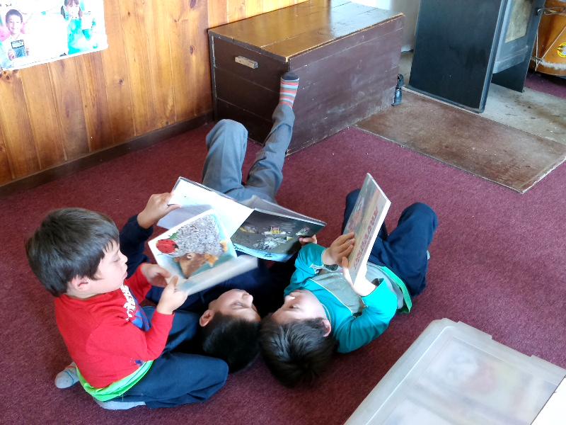 El placer de leer - Los Álamos