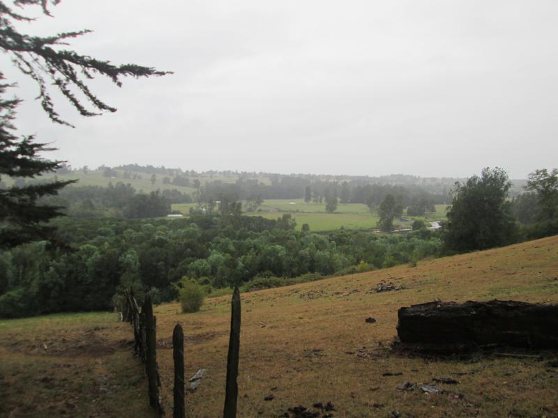 Animación Lectura Paillaco