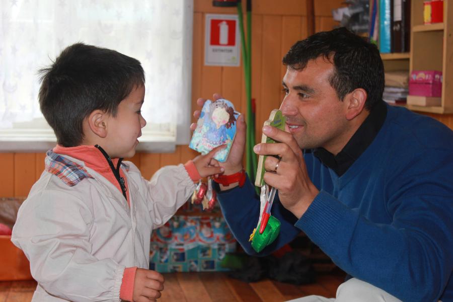 Paillaco Citroen Mediador