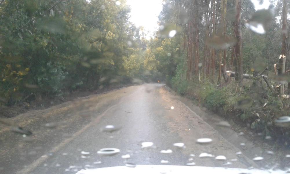 Bibliomóvil Cañete