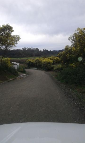 Bibliomóvil Cañete