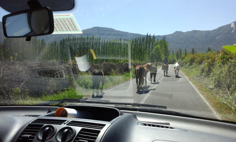 Bibliomóvil Coltauco