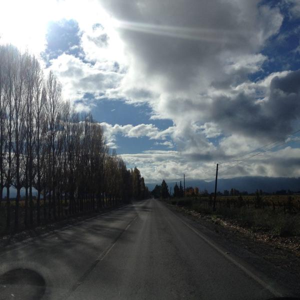 Bibliomóvil Palmilla