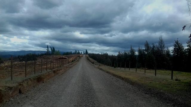 NACIMIENTO - SECTOR RURAL CHEQUENAL