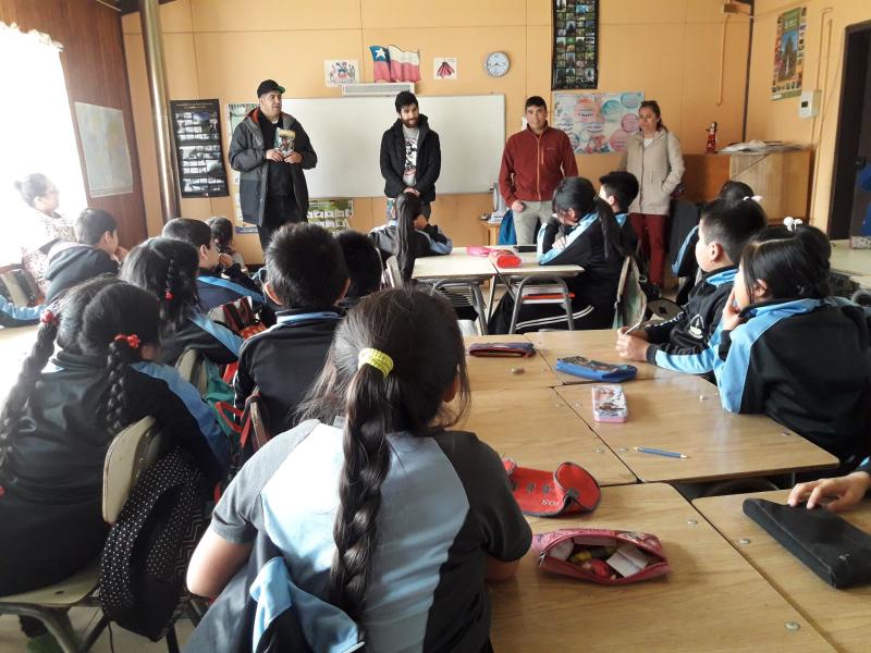 Guardianes del Sur - Corral